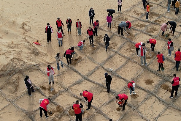 圖為該廠志愿者培土圍堰治理沙漠